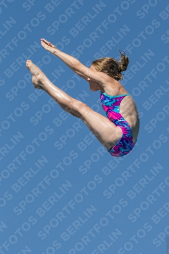 2017 - 8. Sofia Diving Cup 2017 - 8. Sofia Diving Cup 03012_26518.jpg