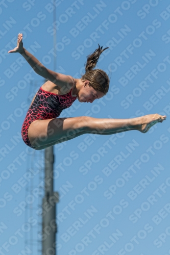 2017 - 8. Sofia Diving Cup 2017 - 8. Sofia Diving Cup 03012_26533.jpg