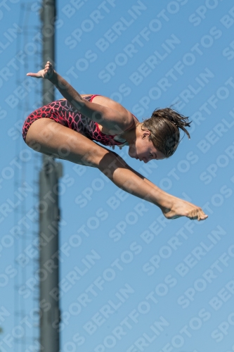 2017 - 8. Sofia Diving Cup 2017 - 8. Sofia Diving Cup 03012_26534.jpg