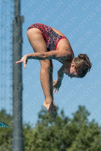 2017 - 8. Sofia Diving Cup 2017 - 8. Sofia Diving Cup 03012_26535.jpg