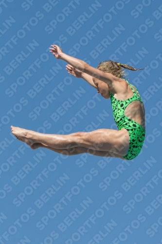 2017 - 8. Sofia Diving Cup 2017 - 8. Sofia Diving Cup 03012_26555.jpg