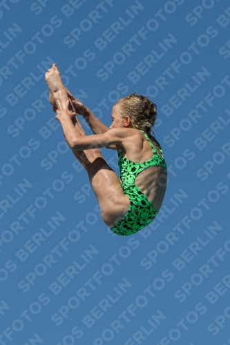 2017 - 8. Sofia Diving Cup 2017 - 8. Sofia Diving Cup 03012_26557.jpg