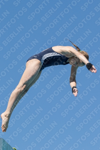 2017 - 8. Sofia Diving Cup 2017 - 8. Sofia Diving Cup 03012_26572.jpg