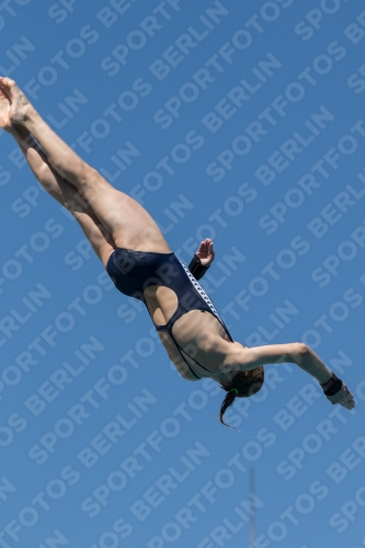 2017 - 8. Sofia Diving Cup 2017 - 8. Sofia Diving Cup 03012_26573.jpg