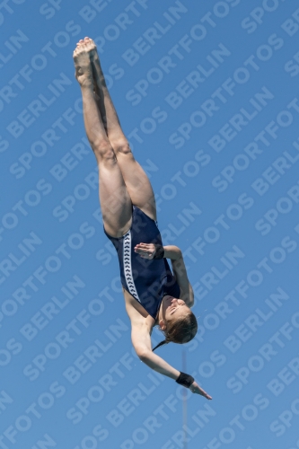 2017 - 8. Sofia Diving Cup 2017 - 8. Sofia Diving Cup 03012_26574.jpg
