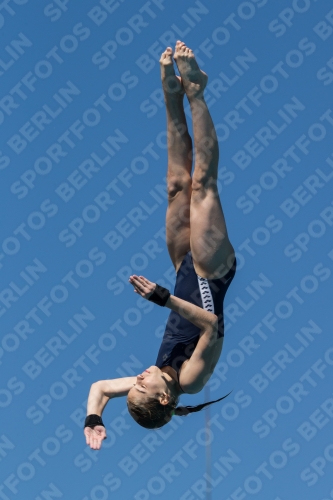 2017 - 8. Sofia Diving Cup 2017 - 8. Sofia Diving Cup 03012_26575.jpg