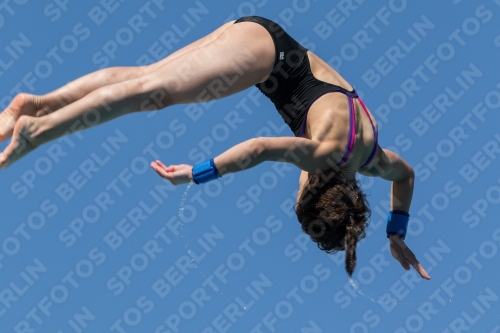 2017 - 8. Sofia Diving Cup 2017 - 8. Sofia Diving Cup 03012_26576.jpg