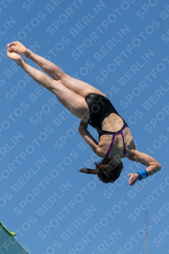 2017 - 8. Sofia Diving Cup 2017 - 8. Sofia Diving Cup 03012_26577.jpg