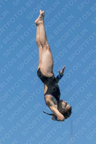 2017 - 8. Sofia Diving Cup 2017 - 8. Sofia Diving Cup 03012_26578.jpg