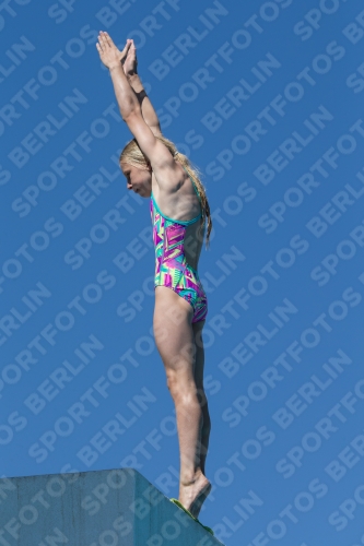 2017 - 8. Sofia Diving Cup 2017 - 8. Sofia Diving Cup 03012_26599.jpg