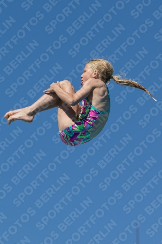 2017 - 8. Sofia Diving Cup 2017 - 8. Sofia Diving Cup 03012_26600.jpg