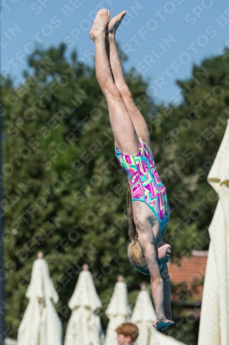 2017 - 8. Sofia Diving Cup 2017 - 8. Sofia Diving Cup 03012_26603.jpg