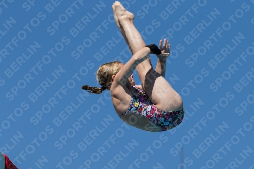 2017 - 8. Sofia Diving Cup 2017 - 8. Sofia Diving Cup 03012_26637.jpg