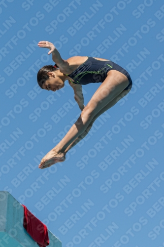 2017 - 8. Sofia Diving Cup 2017 - 8. Sofia Diving Cup 03012_26661.jpg