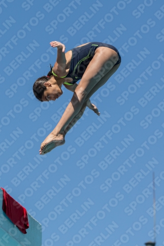 2017 - 8. Sofia Diving Cup 2017 - 8. Sofia Diving Cup 03012_26662.jpg