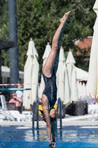 2017 - 8. Sofia Diving Cup 2017 - 8. Sofia Diving Cup 03012_26666.jpg