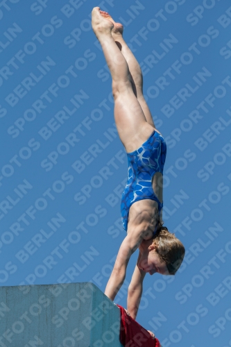 2017 - 8. Sofia Diving Cup 2017 - 8. Sofia Diving Cup 03012_26676.jpg