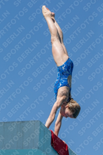 2017 - 8. Sofia Diving Cup 2017 - 8. Sofia Diving Cup 03012_26678.jpg