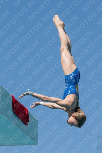 2017 - 8. Sofia Diving Cup 2017 - 8. Sofia Diving Cup 03012_26686.jpg