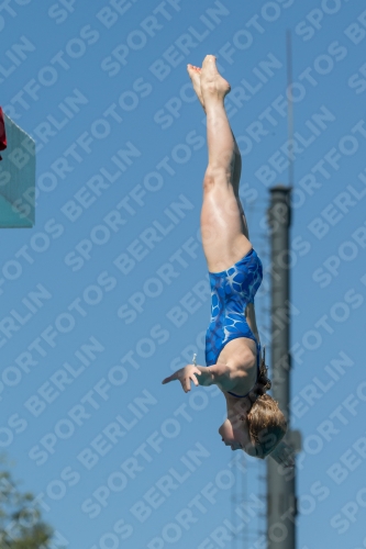 2017 - 8. Sofia Diving Cup 2017 - 8. Sofia Diving Cup 03012_26689.jpg