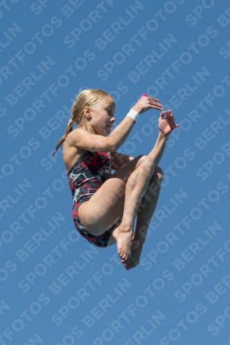2017 - 8. Sofia Diving Cup 2017 - 8. Sofia Diving Cup 03012_26708.jpg