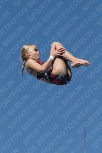 2017 - 8. Sofia Diving Cup 2017 - 8. Sofia Diving Cup 03012_26710.jpg