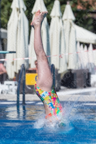 2017 - 8. Sofia Diving Cup 2017 - 8. Sofia Diving Cup 03012_26736.jpg