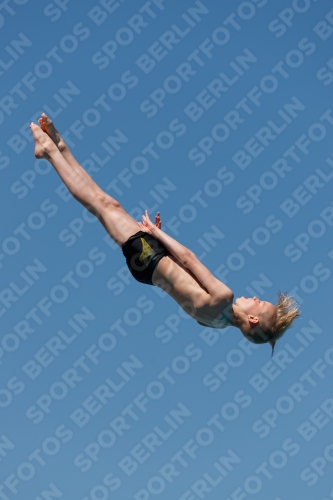 2017 - 8. Sofia Diving Cup 2017 - 8. Sofia Diving Cup 03012_26745.jpg