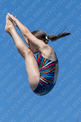 2017 - 8. Sofia Diving Cup 2017 - 8. Sofia Diving Cup 03012_26752.jpg