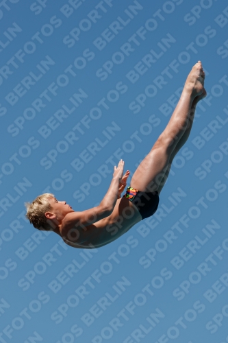 2017 - 8. Sofia Diving Cup 2017 - 8. Sofia Diving Cup 03012_26768.jpg