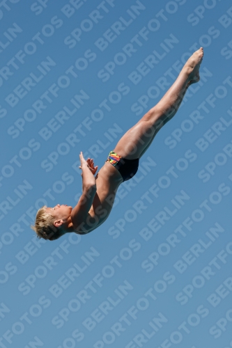 2017 - 8. Sofia Diving Cup 2017 - 8. Sofia Diving Cup 03012_26769.jpg
