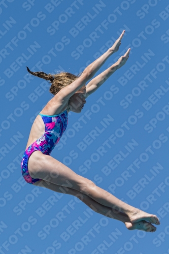 2017 - 8. Sofia Diving Cup 2017 - 8. Sofia Diving Cup 03012_26771.jpg