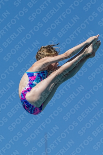 2017 - 8. Sofia Diving Cup 2017 - 8. Sofia Diving Cup 03012_26773.jpg