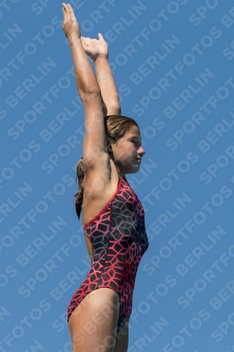 2017 - 8. Sofia Diving Cup 2017 - 8. Sofia Diving Cup 03012_26779.jpg