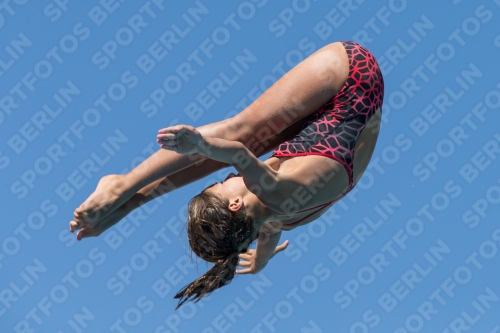 2017 - 8. Sofia Diving Cup 2017 - 8. Sofia Diving Cup 03012_26789.jpg