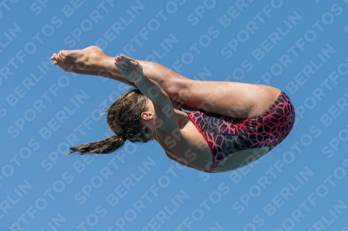 2017 - 8. Sofia Diving Cup 2017 - 8. Sofia Diving Cup 03012_26790.jpg