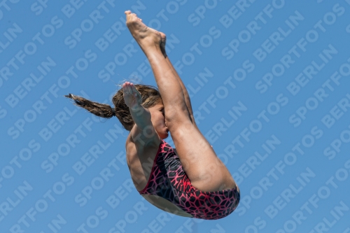 2017 - 8. Sofia Diving Cup 2017 - 8. Sofia Diving Cup 03012_26791.jpg