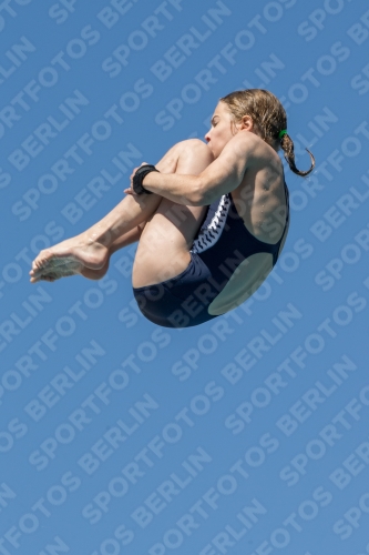 2017 - 8. Sofia Diving Cup 2017 - 8. Sofia Diving Cup 03012_26817.jpg