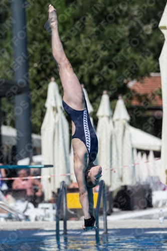 2017 - 8. Sofia Diving Cup 2017 - 8. Sofia Diving Cup 03012_26821.jpg