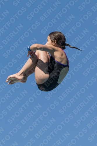 2017 - 8. Sofia Diving Cup 2017 - 8. Sofia Diving Cup 03012_26825.jpg