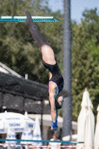 2017 - 8. Sofia Diving Cup 2017 - 8. Sofia Diving Cup 03012_26828.jpg