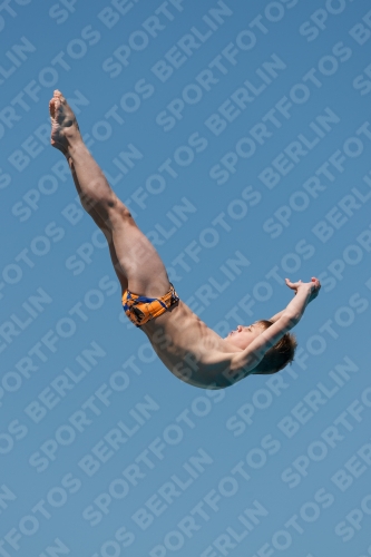 2017 - 8. Sofia Diving Cup 2017 - 8. Sofia Diving Cup 03012_26857.jpg