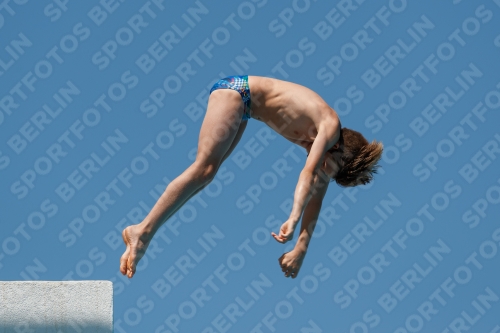 2017 - 8. Sofia Diving Cup 2017 - 8. Sofia Diving Cup 03012_26877.jpg