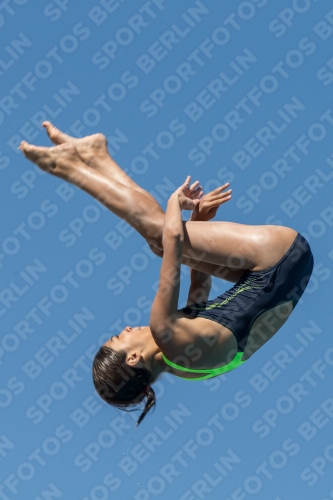 2017 - 8. Sofia Diving Cup 2017 - 8. Sofia Diving Cup 03012_26889.jpg