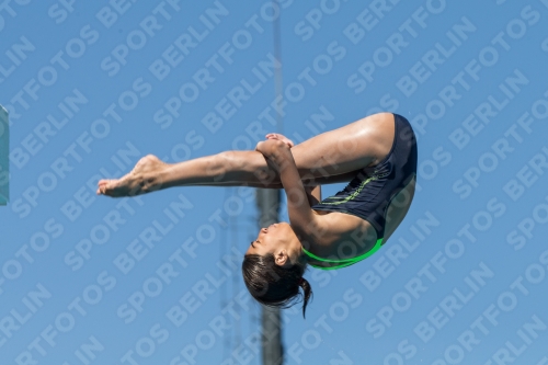2017 - 8. Sofia Diving Cup 2017 - 8. Sofia Diving Cup 03012_26891.jpg