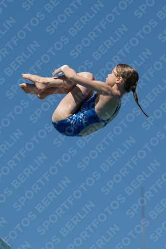 2017 - 8. Sofia Diving Cup 2017 - 8. Sofia Diving Cup 03012_26911.jpg
