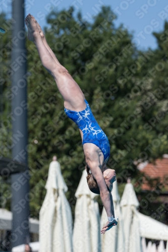 2017 - 8. Sofia Diving Cup 2017 - 8. Sofia Diving Cup 03012_26912.jpg