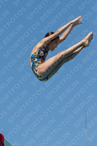 2017 - 8. Sofia Diving Cup 2017 - 8. Sofia Diving Cup 03012_26916.jpg