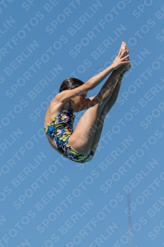 2017 - 8. Sofia Diving Cup 2017 - 8. Sofia Diving Cup 03012_26917.jpg