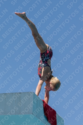 2017 - 8. Sofia Diving Cup 2017 - 8. Sofia Diving Cup 03012_26927.jpg